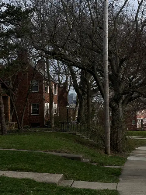 Suburban calm with a city whisper on the horizon.